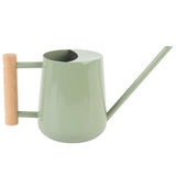 Watering Can Stainless Steel Watering Pot with Wooden Handle for Succulents Plant Type 2