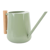 Watering Can Stainless Steel Watering Pot with Wooden Handle for Succulents Plant Type 2