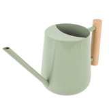 Watering Can Stainless Steel Watering Pot with Wooden Handle for Succulents Plant Type 2