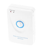 Multifunctional Fruit Cleaner Purifier WallMounted Pesticide Hormone Degradation HighEfficiency Ozone Generator