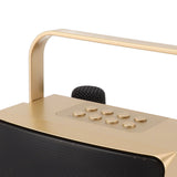 Karaoke Machine with Dual Microphone 10W Portable Bluetooth Speaker for Kids Birthday Home Party Gold