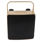 Karaoke Machine with Dual Microphone 10W Portable Bluetooth Speaker for Kids Birthday Home Party Gold