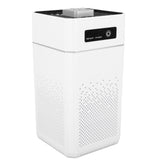 Home Air Purifier Negative Ionic Purification Odor Removal Multi Functional Indoor Air Purifier Deodorizer