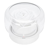 Essential Oil Diffuser Humidifier Quiet Flower Aromatherapy Diffuser with 7 Colors Night Light for Home Bedroom Office