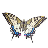 Wings Costume for Women Girl Decorative Dress Up Wings Prop with Headband for Cosplay Holiday Party Favor Yellow