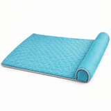 Cooling Pet Mat with Bolster Pillow for Cats and Dogs, Breathable Summer Rest Bed with Anti-Slip Base for Home, Car, Sofa, and Floor Use (Light Blue, L (80*60cm))