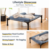 Elevated Pet Cot with Bolster Cushion for Cats and Small Dogs, Breathable Mesh Bed for Indoor Living Room and Bedroom Comfort (Army Green)