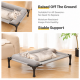 Elevated Pet Cot with Bolster Cushion for Cats and Small Dogs, Breathable Mesh Bed for Indoor Living Room and Bedroom Comfort (Grey)