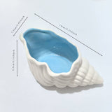 Conch+Starfish Shape Ceramic Jewelry Tray, Aqua Shell Trinket Dish Ceramic Ring Earring Holder Ocean-themed Decorative Trinket Plate for Rings Earrings Necklaces 2Pcs