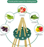 6 Pcs Bamboo Cane Holder Plastic Plant Cane Support Caps for Climbing Plants Sweet Peas Beans Green