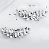 2 Pcs Rhinestone Metal Shoe Clips Detachable Ladies Shoe Embellishments Wings Shaped Shoe Buckle for High Heels Accessories Silver