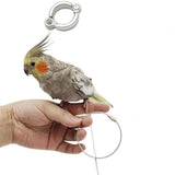 Bird Leash with Anklet and Foot Chain, Anti-Biting Parrot for Outdoor Training, Walking, and Safe Bird Handling