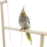 Bird Leash with Anklet and Foot Chain, Anti-Biting Parrot for Outdoor Training, Walking, and Safe Bird Handling