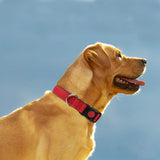 Reflective Dog Collar with Safety Locking Buckle, Adjustable Nylon Pet Collars for Large Dogs Female Male, Red,
