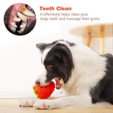 Dog Puzzle Toys, Rubber Dog Chew Toys,Treat Food Dispensing Dog Toys for Teeth Cleaning, Dog Ball Toy, Interactive Dog