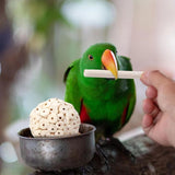 Mini Sola Balls - All Natural Air Dried Shreddable Foot Toys, Small Size Mini Balls, Perfect for Beaks and Feet, Excellent