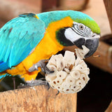 Mini Sola Balls - All Natural Air Dried Shreddable Foot Toys, Small Size Mini Balls, Perfect for Beaks and Feet, Excellent