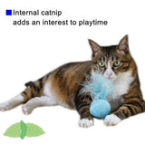 Furry Rattle Ball Cat Toy with Feather and Catnip - Interactive Pom Pom Balls for Cats, Soft and Lightweight, 2 Inch, 3 Pack.