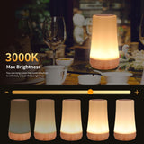 Touch Bedside  USB Rechargeable Desk Lamp, Remote Control Dimmable Light with RGB Color Changing,Portable Lamp for Baby