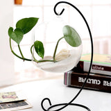 Ornament Display Stand Iron Hanging Stand Rack Holder for Hanging Glass Globe Air Plant Terrarium Witch Ball Christmas  (Black)