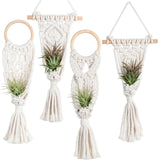 4 Pack Air Plants Holders Air Fern Macrame Plant Hanger Indoor Hanging Planter Basket for Tillandsias Display Air Plant Stand