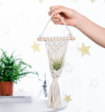 4 Pack Air Plants Holders Air Fern Macrame Plant Hanger Indoor Hanging Planter Basket for Tillandsias Display Air Plant Stand