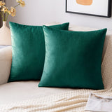 Velvet Emerald Green Throw Pillow Covers Pack of 2 Soft Decorative Square Cushion Covers for Couch Sofa Bed Livingroom Car,40x40Cm