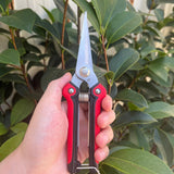 Straight Pruning Shears Gardening Scissors Hand Pruner Pruning Shear Garden Shears Multi-Tasking Garden Snips For (Red)