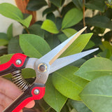 Straight Pruning Shears Gardening Scissors Hand Pruner Pruning Shear Garden Shears Multi-Tasking Garden Snips For (Red)