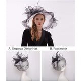 Women's Church Hat Organza Fascinator Wedding Tea Party Hat Wide Brim Sun Hat