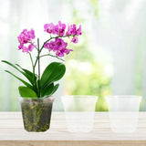 40pcs Clear Plastic Nursery Pots with Drainage Holes Transparent Orchid Pots for Home Gardening for Orchids Herbs Indoor Plants 3 Inch