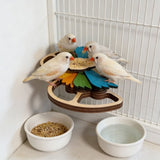 Wood Parrot Foraging Feeder, Interactive Puzzle Feeder for Small & Medium Birds, 6 Hidden Food Holes, Movable Feathers & Easy Cage Mount