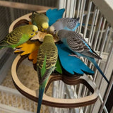 Wood Parrot Foraging Feeder, Interactive Puzzle Feeder for Small & Medium Birds, 6 Hidden Food Holes, Movable Feathers & Easy Cage Mount