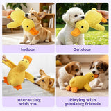 Plush Dog Toys With Squeaker, Assorted Animal Pet Toys Suitable For Medium And Large Dogs, Stuffed Puppy Chew Toys,25*22cm