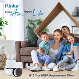 H13 HEPA Replacement Filter,Compatible with Levoit LV-H132 Air Purifier,Part # LV-H132-RF,2-Pack