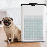 NNEDSZ MyGenie Pure Max Air Purifier Carbon Filter 5-In-1 Cleaning System 100 m2 White