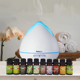 NNEDSZ Purespa Diffuser Set With 10 Pack Diffuser Oils Humidifier Aromatherapy - White
