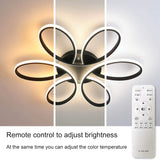 NNEDSZ Modern LED Chandelier Flush Mount Lamp Remote Control (60cm)