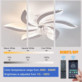 NNEDSZ Low Ceiling Light Fan, Low Profile, 6 Wind Speed, 3 Colors (68 cm)