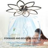 NNEDSZ Modern Ceiling Light Fan, Low Profile, 6 Wind Speed, 3 Color (90cm, Black)