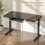 Electric Standing Desk with Drawer, One-Piece Glass Desktop, Black, 120x60cm