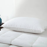 NNEDSZ Dreamaker Luxury 50/50 Duck Down & Feather Pillow