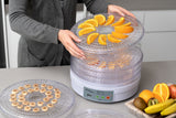 NNEDSZ European Design Food Dehydrator/ Preserver w/ 2 Power Levels