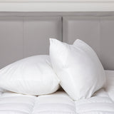 NNEDSZ 100 Percent Cotton Pillow Cover with 800g Poly Fill,  Hypoallergenic, Antibacterial, and Cooling Technology  2 PK