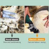 NNEDSZ 690W Electric Sheep Shears 2400R/Min 6 Speed Grooming Kit with 8 Grids Heat AU