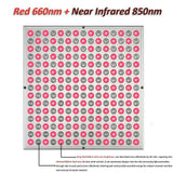 NNEDSZ Infrared Light Therapy Lamp 660nm & 850nm LED Red Light Device