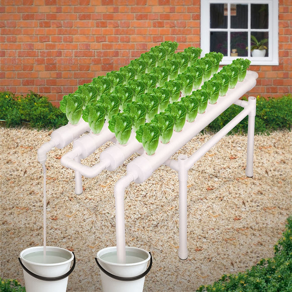 NNEDSZ 36 Sites Hydroponic Grow Tool Kits Vegetable Garden System 220V Water Pump