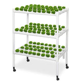 NNEDSZ 108 Plant Sites Hydroponic Grow Tool Kit Vegetable Garden Hydroponic Grow System With Wheels