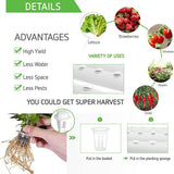 NNEDSZ 108 Plant Sites Hydroponic Grow Tool Kit Vegetable Garden Hydroponic Grow System With Wheels