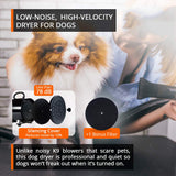 NNEDSZ 2800W Dog Dryer High Velocity Pet Dog Pet Blow Dryer Adjustable Speed 4 Nozzles